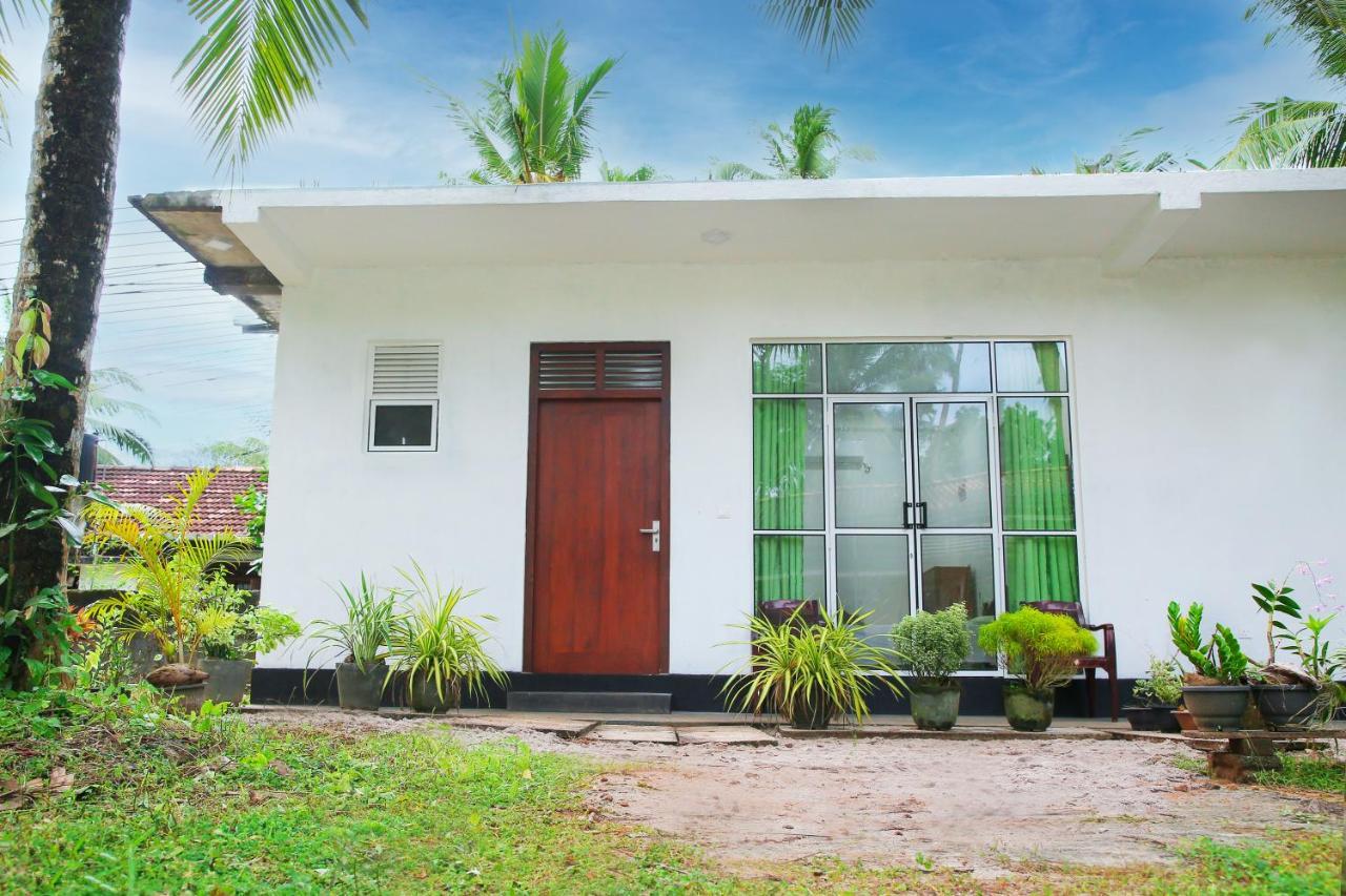 Sandy Palms Guesthouse Hikkaduwa Ngoại thất bức ảnh