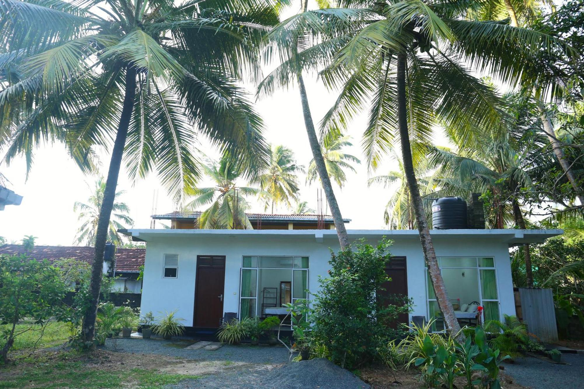Sandy Palms Guesthouse Hikkaduwa Ngoại thất bức ảnh