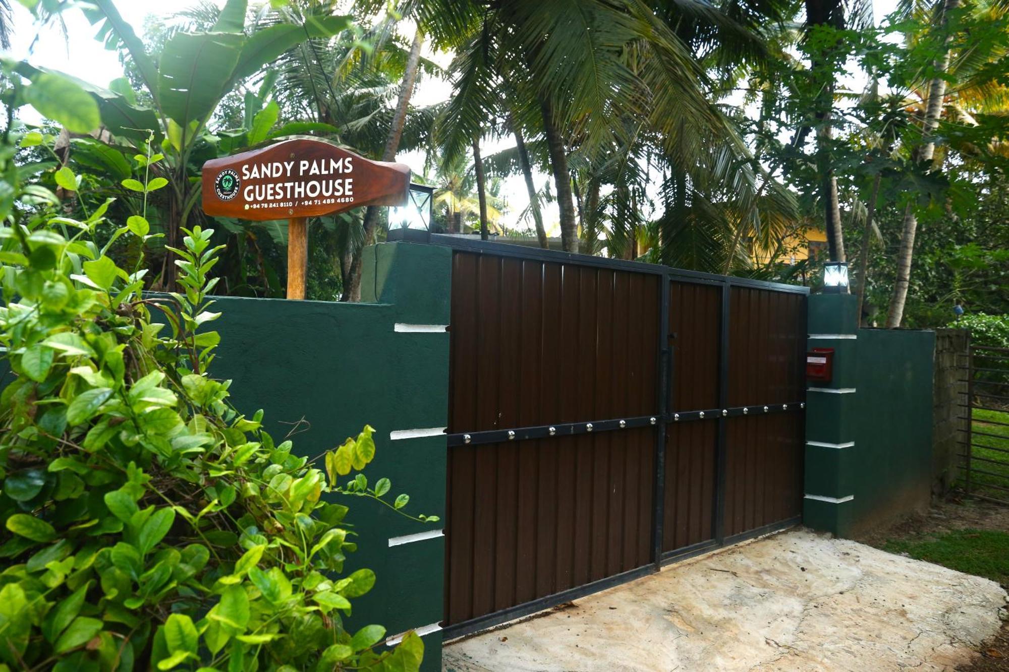 Sandy Palms Guesthouse Hikkaduwa Ngoại thất bức ảnh