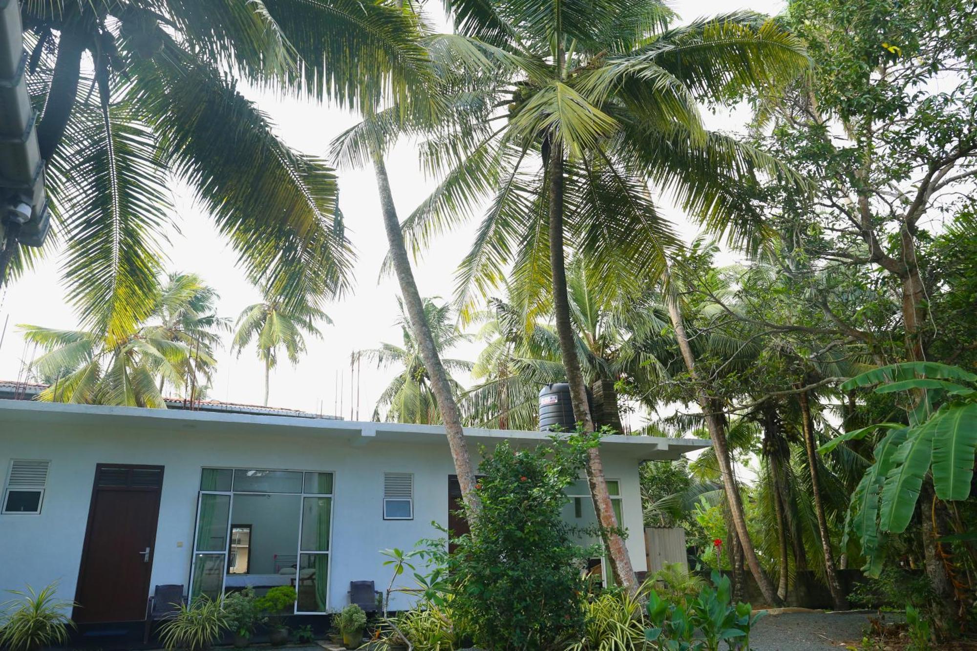 Sandy Palms Guesthouse Hikkaduwa Ngoại thất bức ảnh