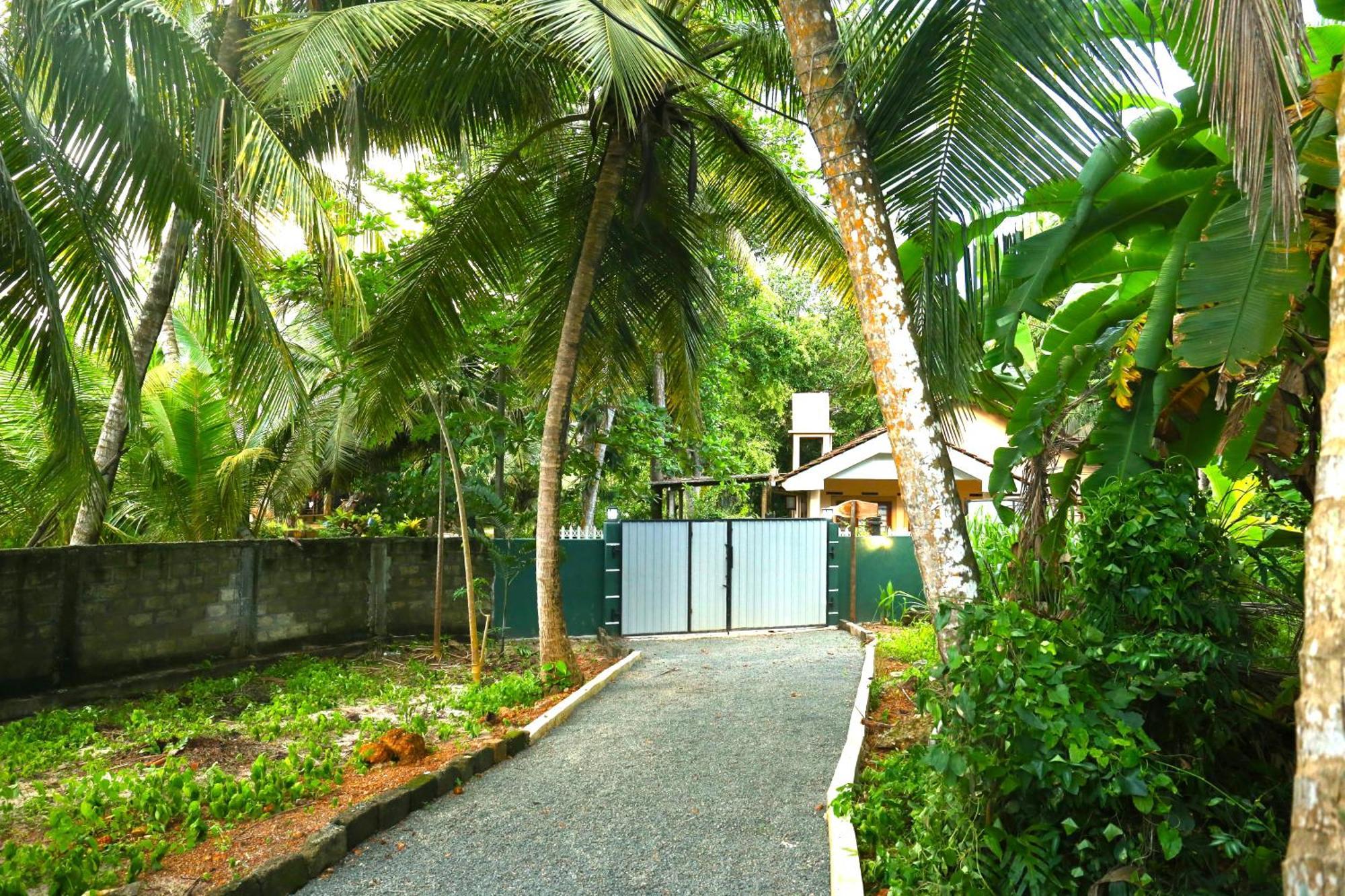 Sandy Palms Guesthouse Hikkaduwa Ngoại thất bức ảnh