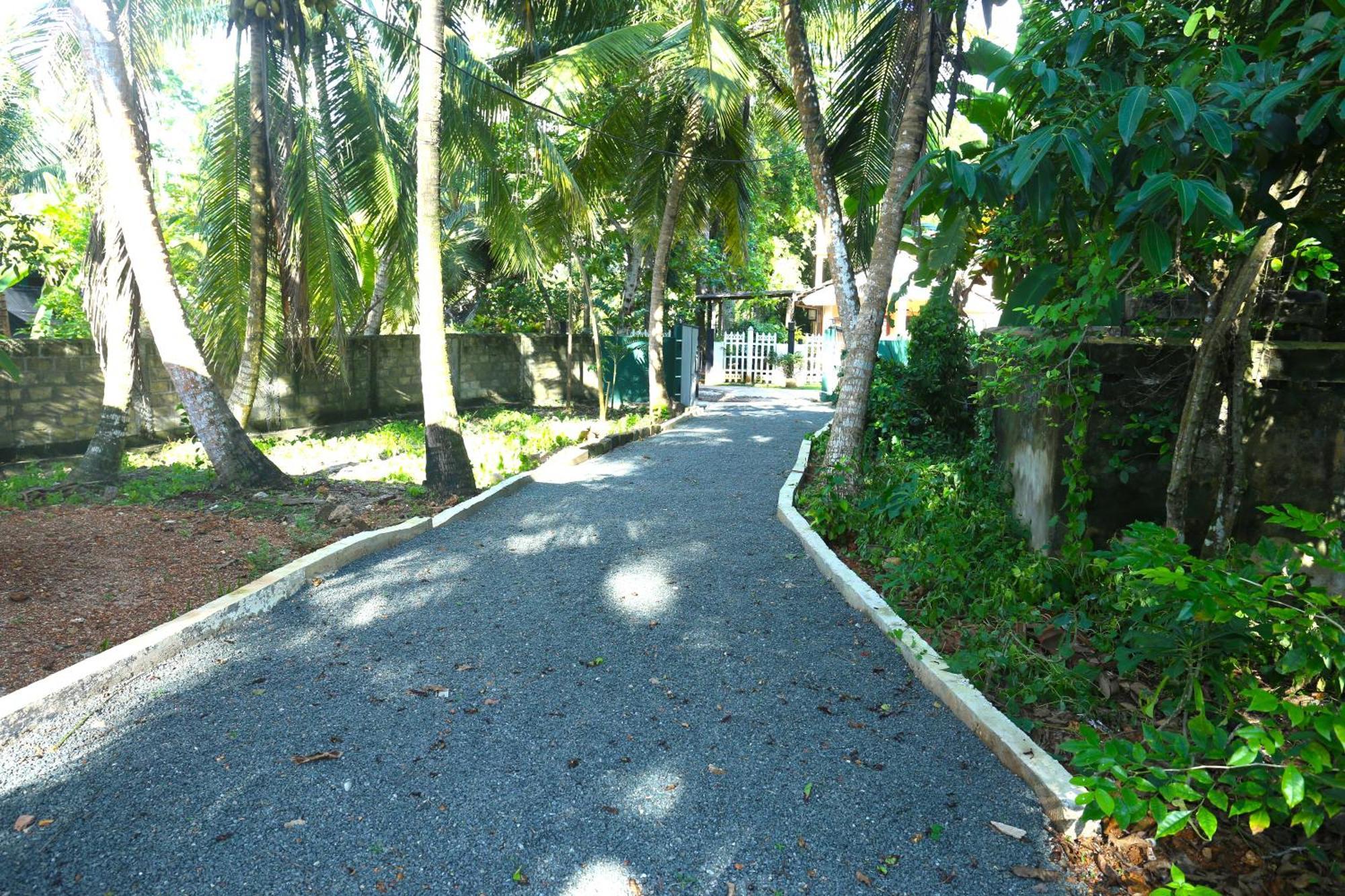 Sandy Palms Guesthouse Hikkaduwa Ngoại thất bức ảnh