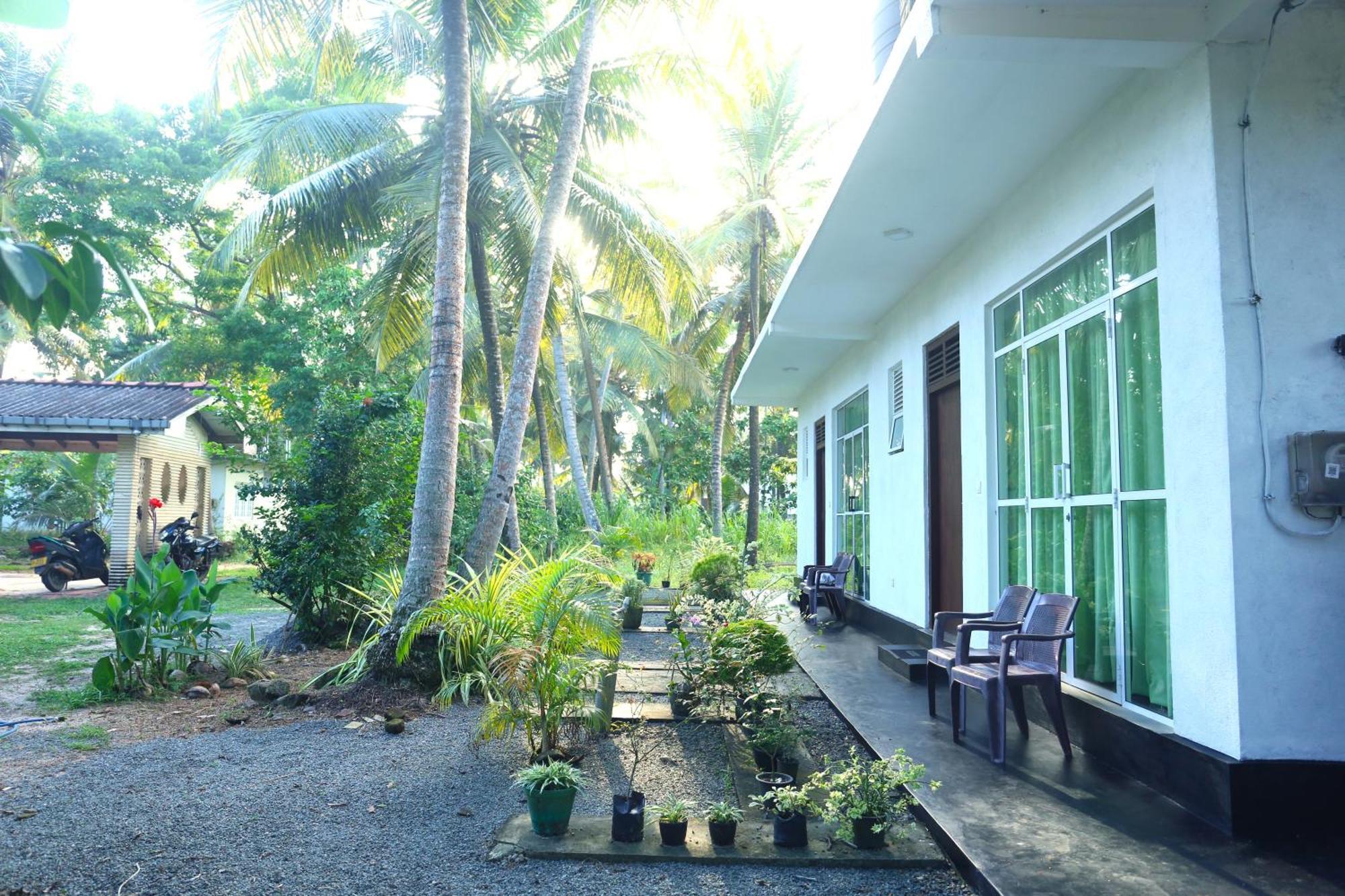 Sandy Palms Guesthouse Hikkaduwa Ngoại thất bức ảnh